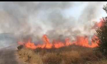 PAMJET/ Zjarr në një pus nafte në Patos, marrin flakë ullishtet pranë