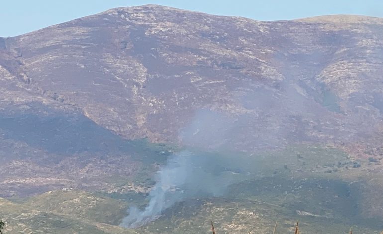ZJARRET NË VLORË/ Aktivizohet një vatër zjarri në Karaburun, nisen forcat zjarrëfikëse për shuarjen e flakëve (FOTO)