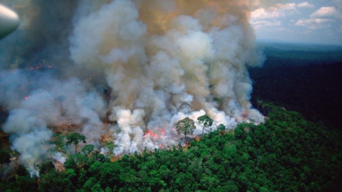 ZJARRET DËMTOJNË RËNDË PLANETIN TOKË/ Shkencëtarët: 4.7 gigatonë CO2 u çliruan në atmosferë në vitin 2021