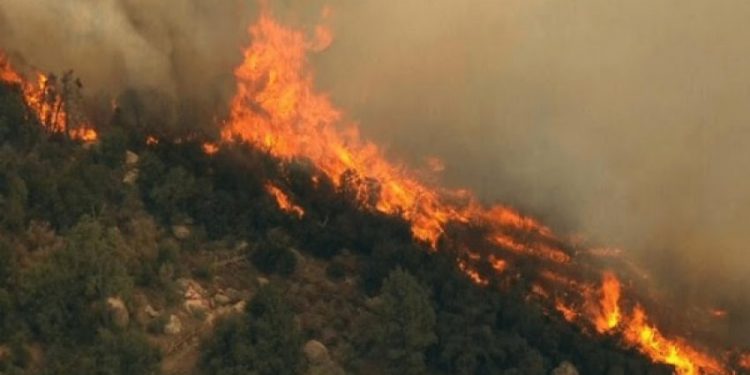 SITUATË ALARMANTE NË DUKAT-FUSHË/ Zjarri i Karaburunit po i drejtohet banesave