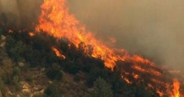 PAMJET E FRIKSHME/ Gjiri i Gramës “pushtohet” nga flakët. Zjarri zbret deri në bregdet