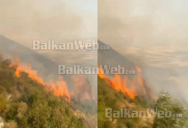 ZJARRET NË BERAT/ Zjarrfikësit shmangin përhapjen e flakëve në vreshta e toka të mbjella në fshatin Veterrik