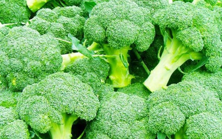 VLERAT MIRËBËRËSE TË VITAMINËS E/ Ushqimet ku gjendet