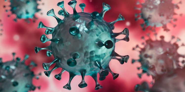 KORONAVIRUSI/ Epidemiologu Muka: Vaksina ul sëmundshmërinë, por testi i vërtetë do të jetë vjeshta dhe…