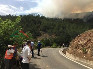 ZJARRI NË FUSHË-ARRËS/ PAMJET nga operacioni, po punohet për fikjen e flakëve