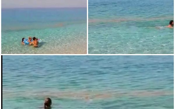 PAMJET NGA DHËRMIU/ Shikoni si është ndotur bregdeti nga anijet e naftës që derdhin mbetjet (VIDEO)