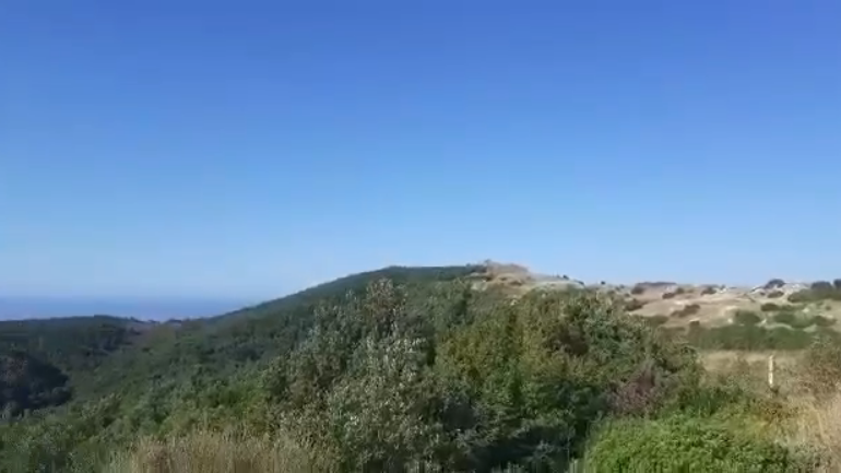 ZJARRET NË DURRËS/ Forcat zjarrëfikës në “luftë” me flakët në pyllin e fshatit Shetaj, mbahet e izoluar (VIDEO)