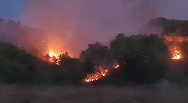 ZJARRET NË KAVAJË/ Digjen 4 hekatarë pyje në fshatin Mangaj, kërkohet ndihma e ushtrisë dhe ndërhyrje nga ajri (VIDEO)