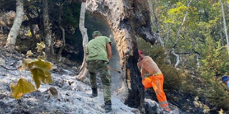 VENDIMI/ Qeveria jep 33 milionë lekë për Emergjencat Civile