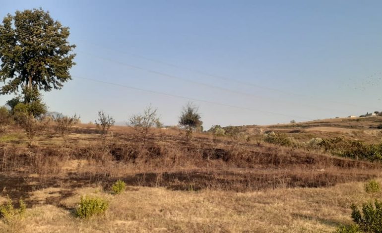 PAMJET EKSKLUZIVE/ Forcat zjarrëfikëse shuajnë zjarret në Zall Herr, DIGJEN… (FOTO+VIDEO)