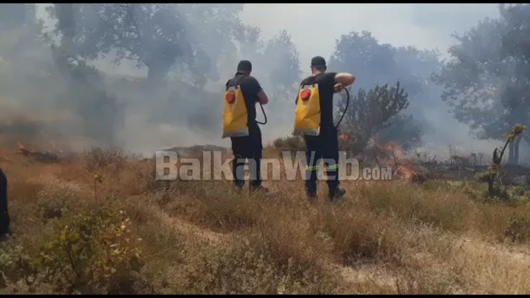 TJETËR VATËR ZJARRI NË FIER/ Fshati Corrush “nën pushtetin” e flakëve, zjarrfikëset në vendngjarje (VIDEO)