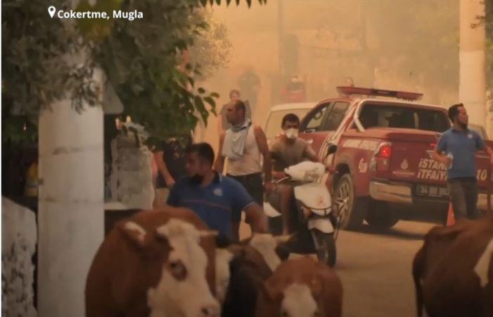 “NDIHEM I PAFUQISHËM, SHTËPIA IME PO DIGJET”/ Turqia vazhdon betejën me zjarret, banorët akuza ndaj Erdogan