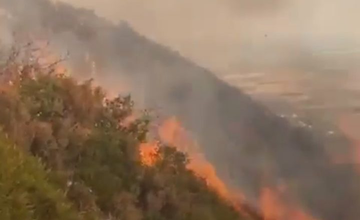 VDIQ GJATË “LUFTËS” ME FLAKËT/ Ky është 64 vjeçari gjirokastrit që humbi jetën (FOTO)
