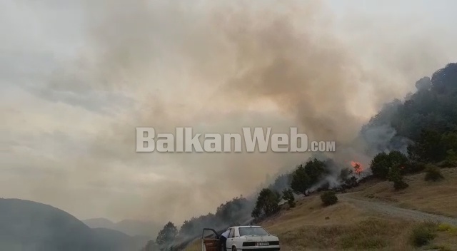 ZJARR NË VITHKUQ/ Flakët rrezikojnë Manastirin e Shën Pjetrit (VIDEO)