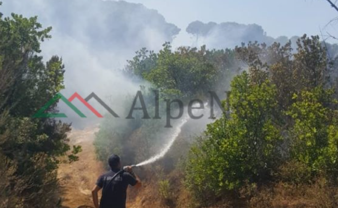 ZJARRI NË FSHATIN GJORKOS/ Zarrëfikësit në lutftë me flakët, po punohet për shuarjen e tij