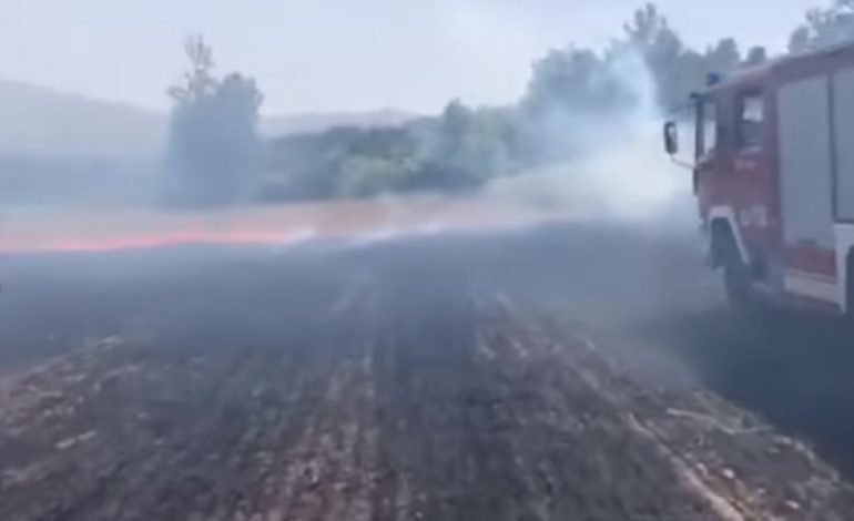 RËNDOHET SITUATA E ZJARREVE NË KOSOVË/ Flakët shkrumbojnë qindra hektarë tokë në Komunën e Suharekës