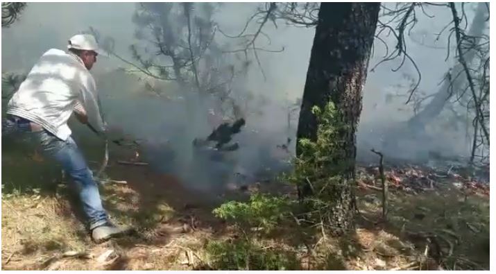 RIAKTIVIZOHET ZJARRI NË BERAT/ Flakët shkrumbojnë 7 hektarë me pisha e shkurre