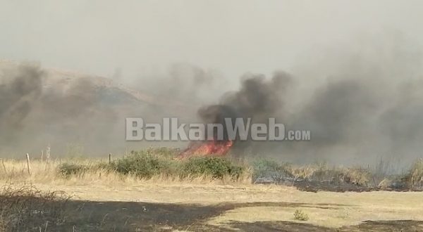 ZJARRET NË GJIROKASTËR/ Asfiksohen 10 banorë, shihni momentin kur ushtria evakuon banorët mes tymit (VIDEO)