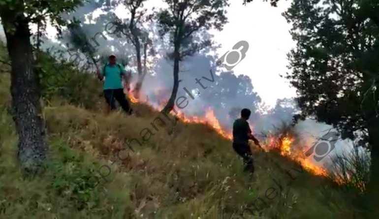 “KA PROVA SE ZJARRVËNIET JANË TË QËLLIMSHME”/ Peleshi: Opozita duhet të jetë me qeverinë në betejë