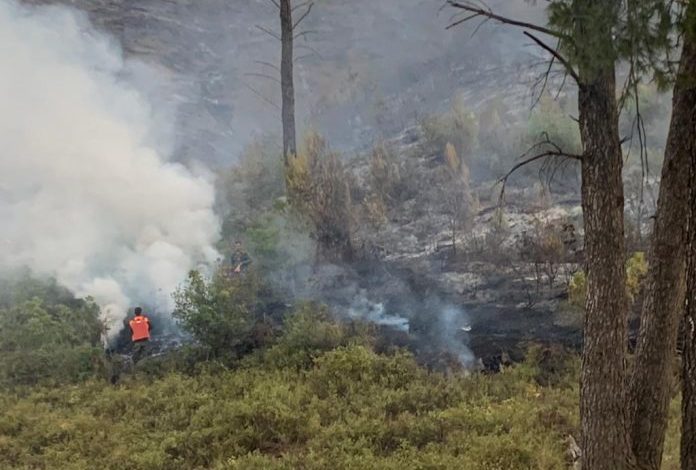 TRI VATRA ZJARRI NË KORÇË/ Prefekti Spirollari: Po punohet për izolimin e tyre