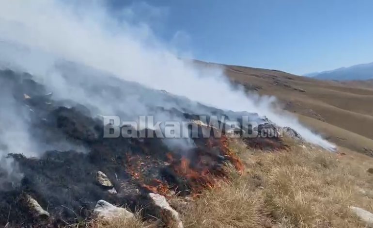 VATËR ZJARRI NË MALIN E THATË NË POGRADEC/ Punonjësit e Zonave të Mbrojtura në “luftë” me flakët (PAMJET)