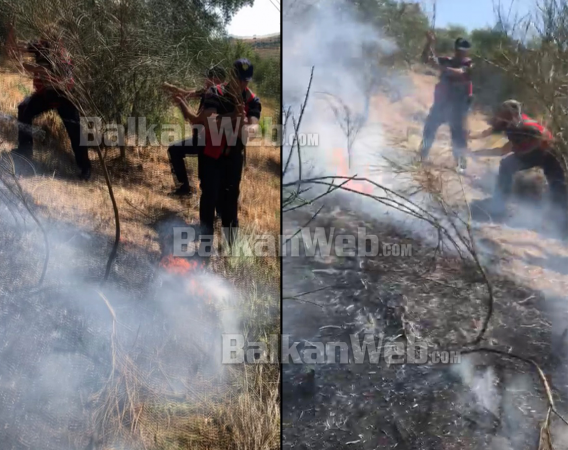 ZJARRET NË FIER/ Policët dhe zjarrfikësit përdorin mjete rrethanore për të shuar flakët në Vadhizë (VIDEO)