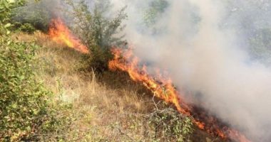 ZJARR NË PYLLIN E SODËS NË VLORË/ Dyshohet i qëllimshëm
