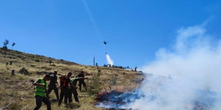 ZJARRET SHKATËRROJNË QINDRA HEKTARË E KULLOTA/ Në terren edhe dy helikopterë nga Holanda e Çekia