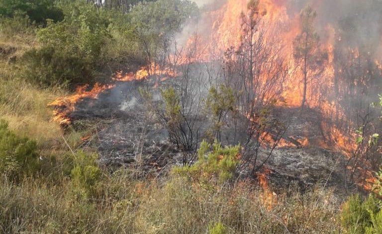 SHQIPËRIA NË FLAKË/ Nga veriu në jug, MM: Në Thirrë zjarri ka një shtrirje të madhe. Ja situata sipas qarqeve