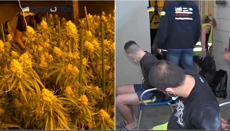 GODITJA E KLANIT SHQIPTAR QË MBUSHI SPANJËN ME DROGË/ Zbradhet EMRI i kreut të grupit mafioz
