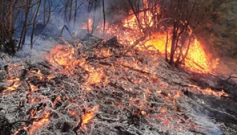 E RËNDË NË GJIROKASTËR/ Zjarr masiv në afërsi të fshatit Prongji, zjarrfikësit prej orësh në luftë me flakët