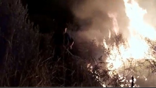 PAMJET/ Vihet nën kontroll zjarri në fshatit Trevllazër në Vlorë