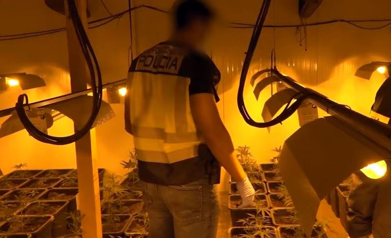 VIDHNIN ELEKTRICITET PËR TË VËNË NË PUNË…/ Grupi i shkatërruar në Spanjë drejtohej nga shqiptarë