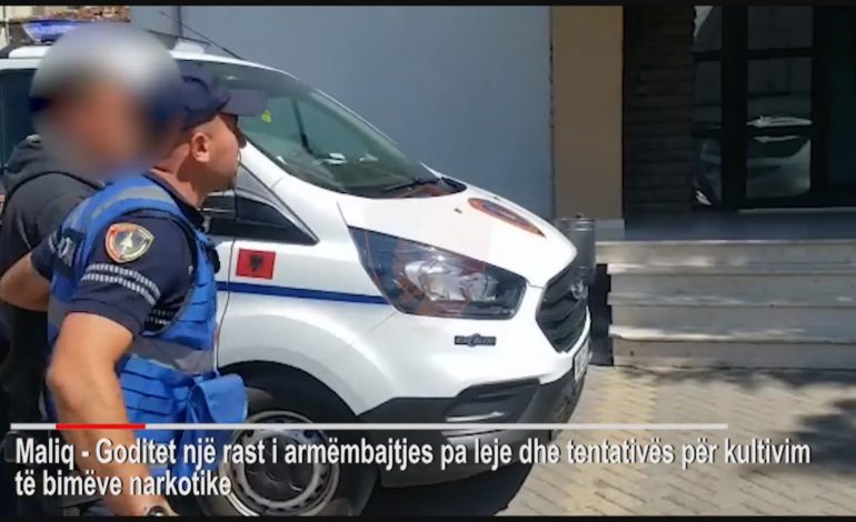 KALLASHNIKOV, MUNICION LUFTARAK E…/ Si e ruanin kanabisin vëllezërit korçarë, arrestohet njëri prej tyre (VIDEO)