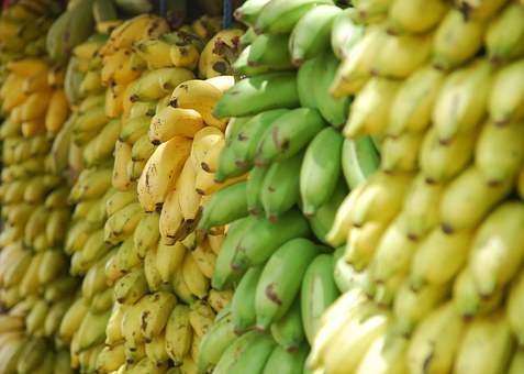 “RIKTHEHET” EDHE KOLUMBIA/ Dyfishohen importet e frutave e bananeve nga Ekuadori që nga 2015-a