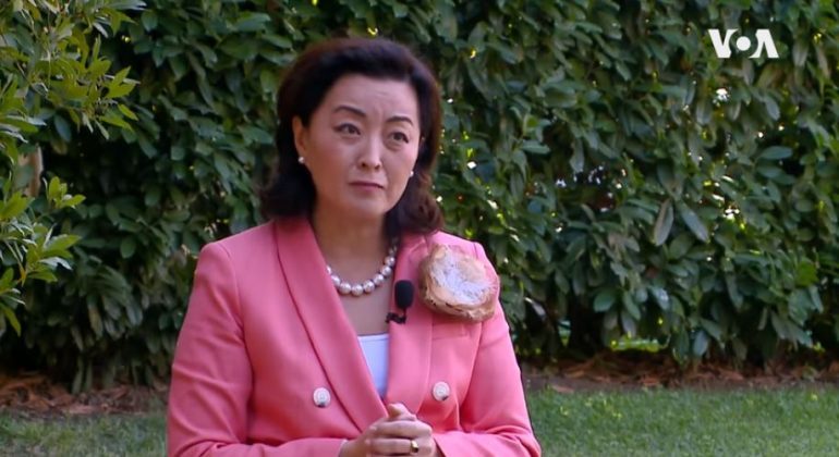 SHPALLJA “NON GRATA” E BERISHËS/ Yuri Kim: Faktet e korrupsionit të Berishës janë të dukshme, mos u merrni me teori…