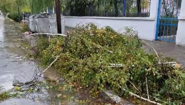 MOTI I KEQ/ Era e fortë “mbush” rrugët me pemë të thyera dhe objekte të rrëzuara në Korçë