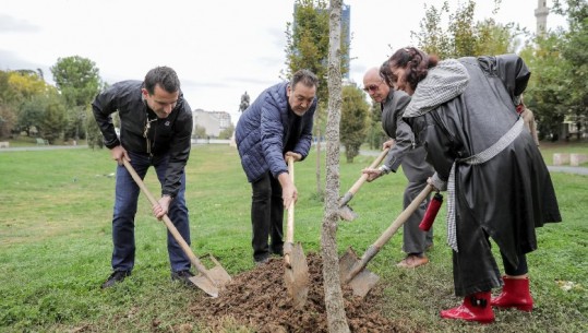 NJË PEMË NË PARKUN “EUROPA” NË KUJTIM TË ROZMARI JORGANXHI/ Veliaj: Tirana di t’i nderojë figurat e saj