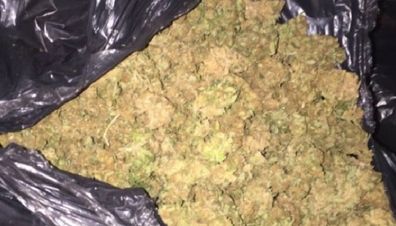 FINALIZOHET OPERACIONI “MNELA”/ Sekuestrohen 7 kg kanabis, arrestohen dy persona në Shkodër