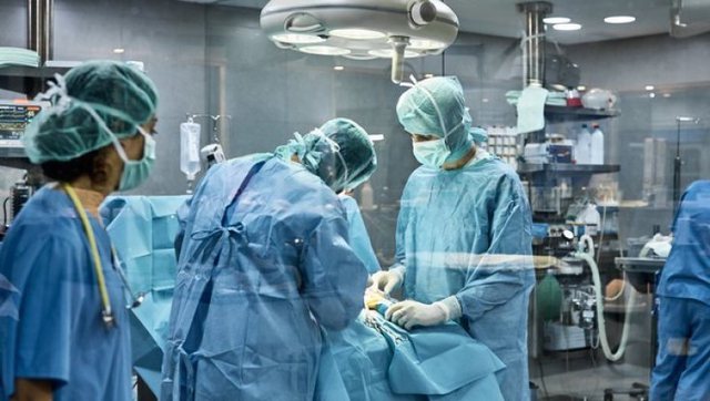 E PAZAKONTË/ Veshka e derrit transplantohet tek njeriu, operacioni doli me sukses