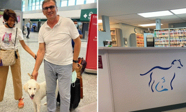 NË NDIHMË JO VETËM TË NJERËZVE/ Brataj udhëton drejt Italisë për të shpëtuar një qen endacak