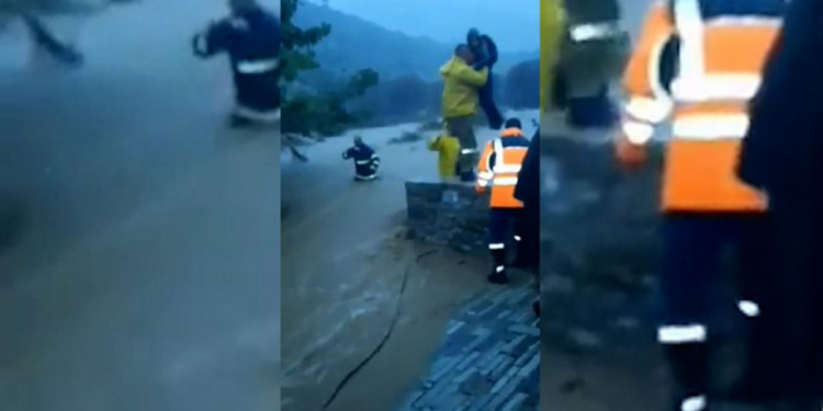 PAMJE DRAMATIKE/ Me litar dhe të kapur dorë për dore, zjarrfikësit shpëtojnë familjen gjermane në Greqi (VIDEO)