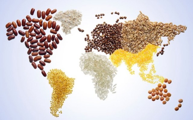 TË DHËNAT/ FAO: Çmimet e ushqimeve në botë arrijnë nivelin më të lartë në 10 vjet