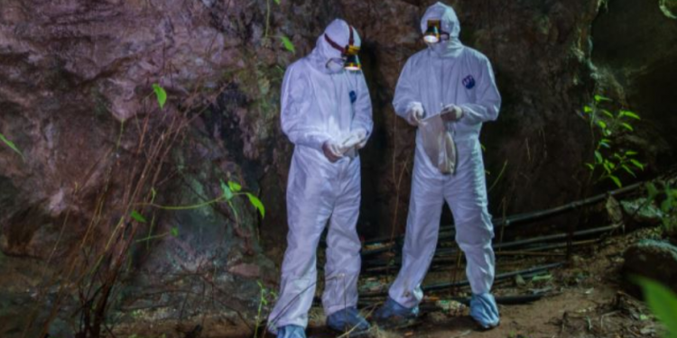 MISTERI I PANDEMISË COVID/ Fillesat para 9 vitesh në trupin e një minatori kinez