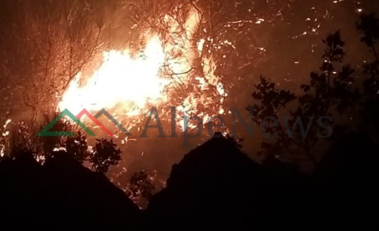 ZJARRET NË VLORË/ Shuhen 2 ha shkurre në fshatin Navarice nga forcat zjarrfikëse, shkaku… (FOTO)