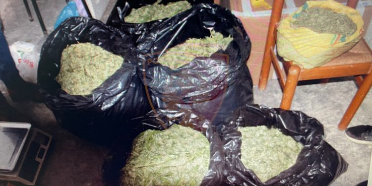 32 KILOGRAM DROGË NË SHTËPI/ Arrestohet babai dhe shpallen në kërkim 2 djemtë e tij