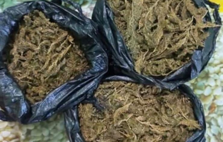 POLICIA SEKUESTRON 3 KILOGRAM KANABIS NË FIER/ Arrestohet 38-vjeçari (EMRI)