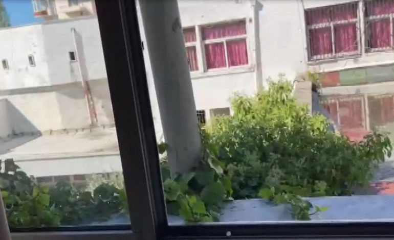 GJENDEN HAJDUTËT E DOSJES SË DHËRMIUT/ Arrestohet drejtori, një zyrtar dhe pronari. Dosjen e morën për të… (DETAJET)
