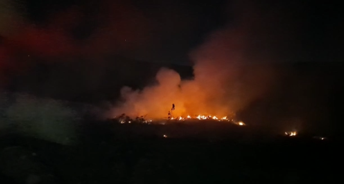 ZJARRET NË BERAT/ Zjarrfikësit në luftë me flakët në tokat bujqësore që po i afrohen banesave, shkaku…