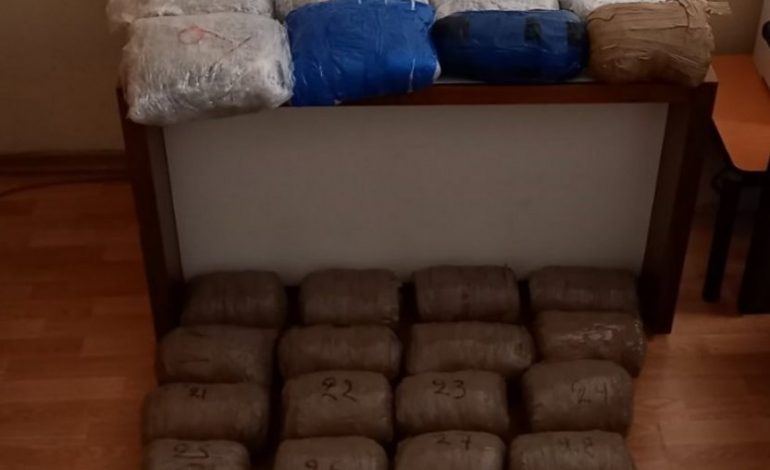 OPERACION ANTI-DROGË/ Sekuestrohen 43 kg marijuanë në kufirin me Greqinë, pranga dy shqiptarëve